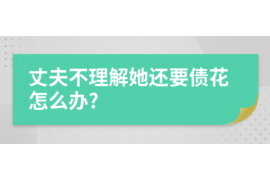 资阳区为什么选择专业追讨公司来处理您的债务纠纷？